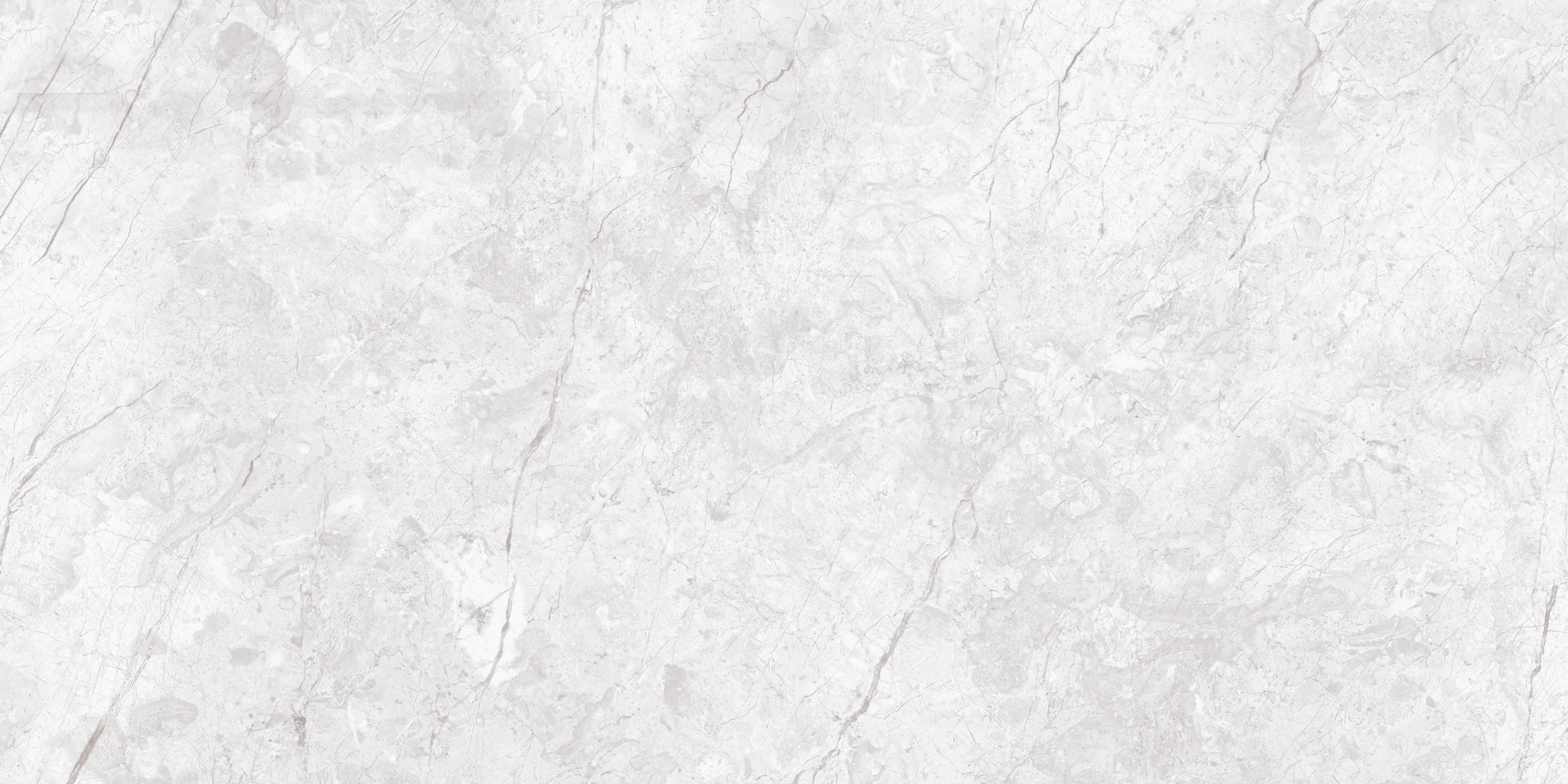 PŁYTKI SZARY KAMIEŃ ROYAL MARCUS BIANCO 60X120 Typ gres