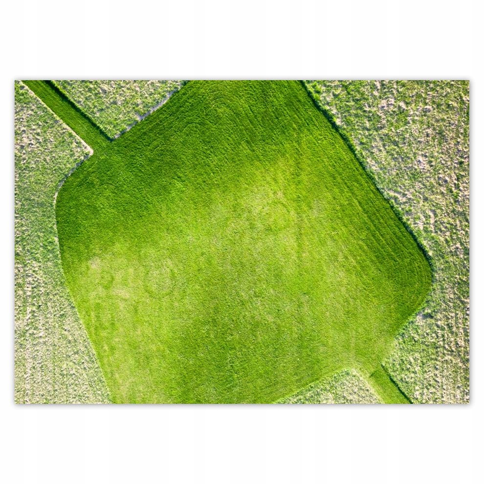 

Plakaty 70x50 Trawa Pole Łąka Droga