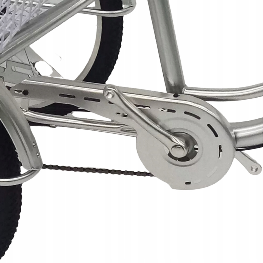 24-CALOWY 6-BIEGOWY ROWER TRÓJKOŁOWY DLA DOROSŁYCH SREBRNY ZE ŚWIATŁAMI Kolor srebrny