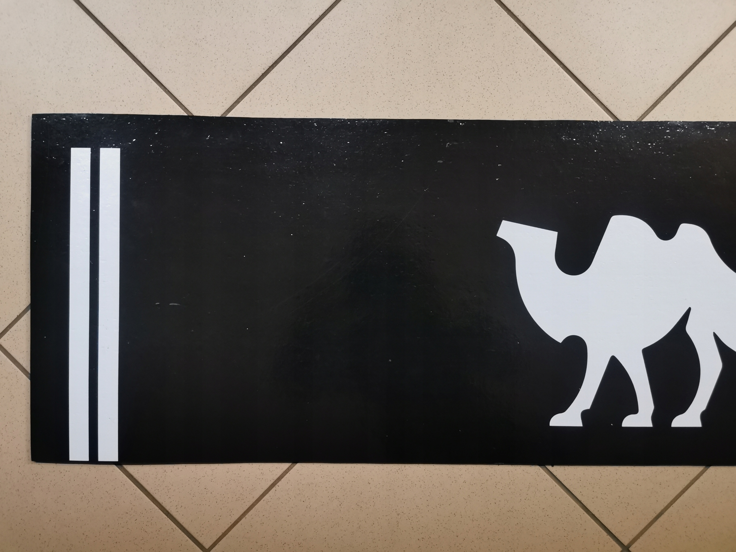 Chlapacz fartuch naczepy przyczepy WIELTON Installation side Rear