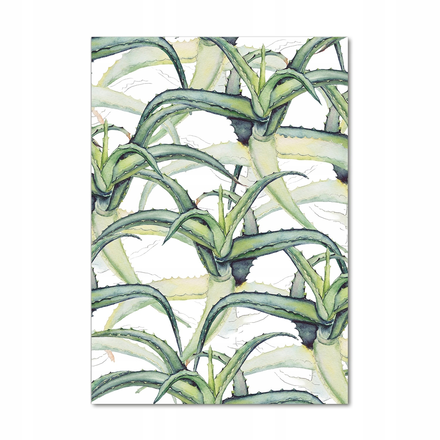 

Nowoczesny foto-obraz akryl na ścianę Aloes 70x100