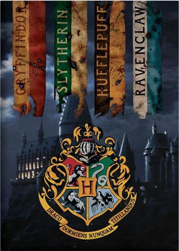 Koc - Harry Potter Hogwarts 100 x 140 cm