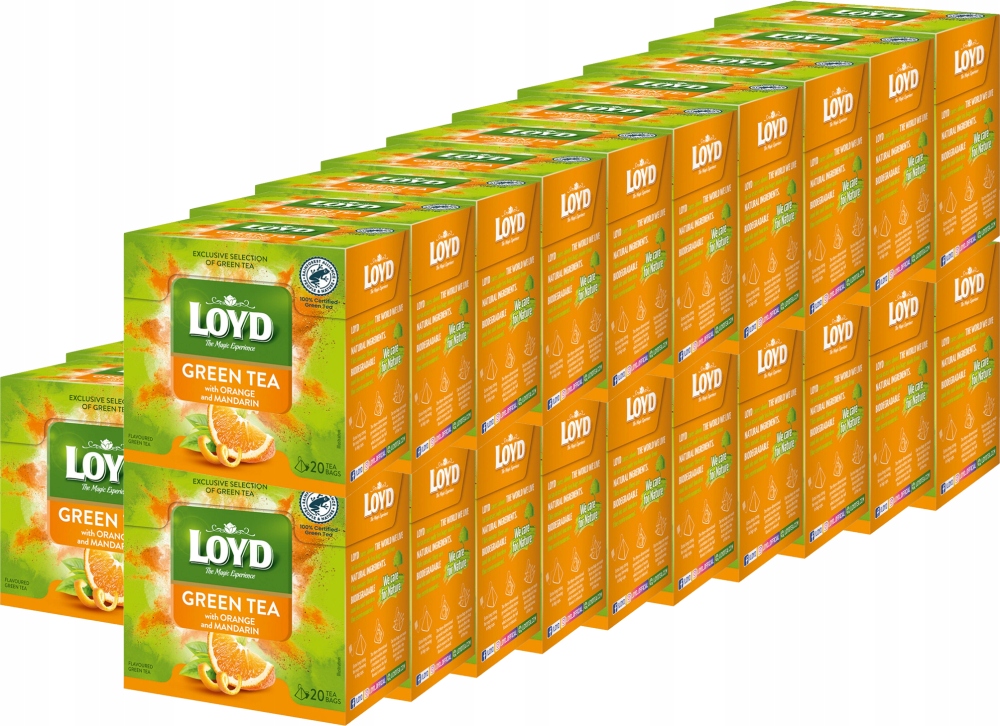 Ekspresowa Herbata Zielona Pomarańcza Egzotyczna Mandarynka 20T Loyd x30