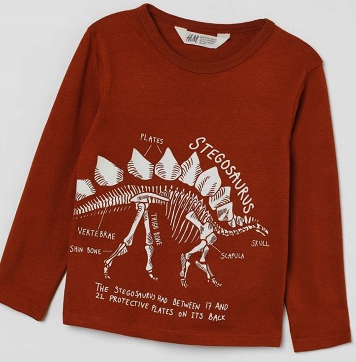 H&M bluzeczka_stegosaur r. 110/116