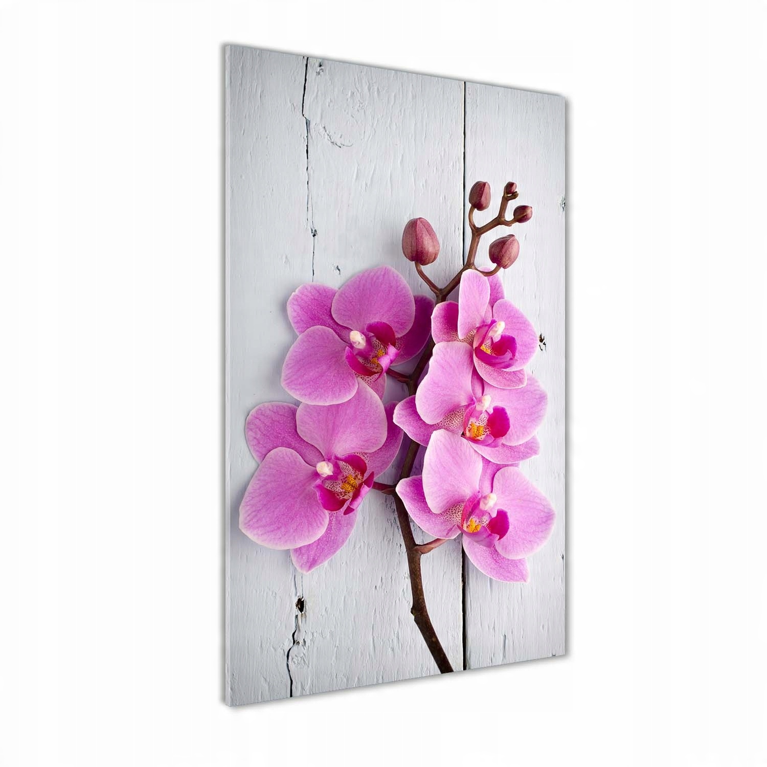 

Foto obraz na szkle pionowy Różowa orchidea 60x120