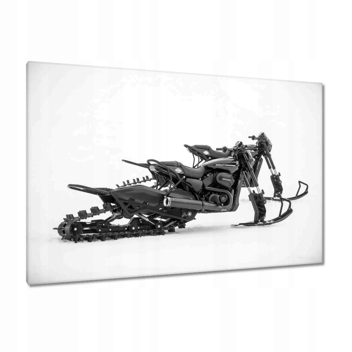 Obrazy 120x80 Harley Davidson Motocykl