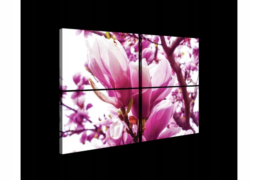 Obraz 120x80 Magnolie květiny jaro růžová příroda jemnost interiér