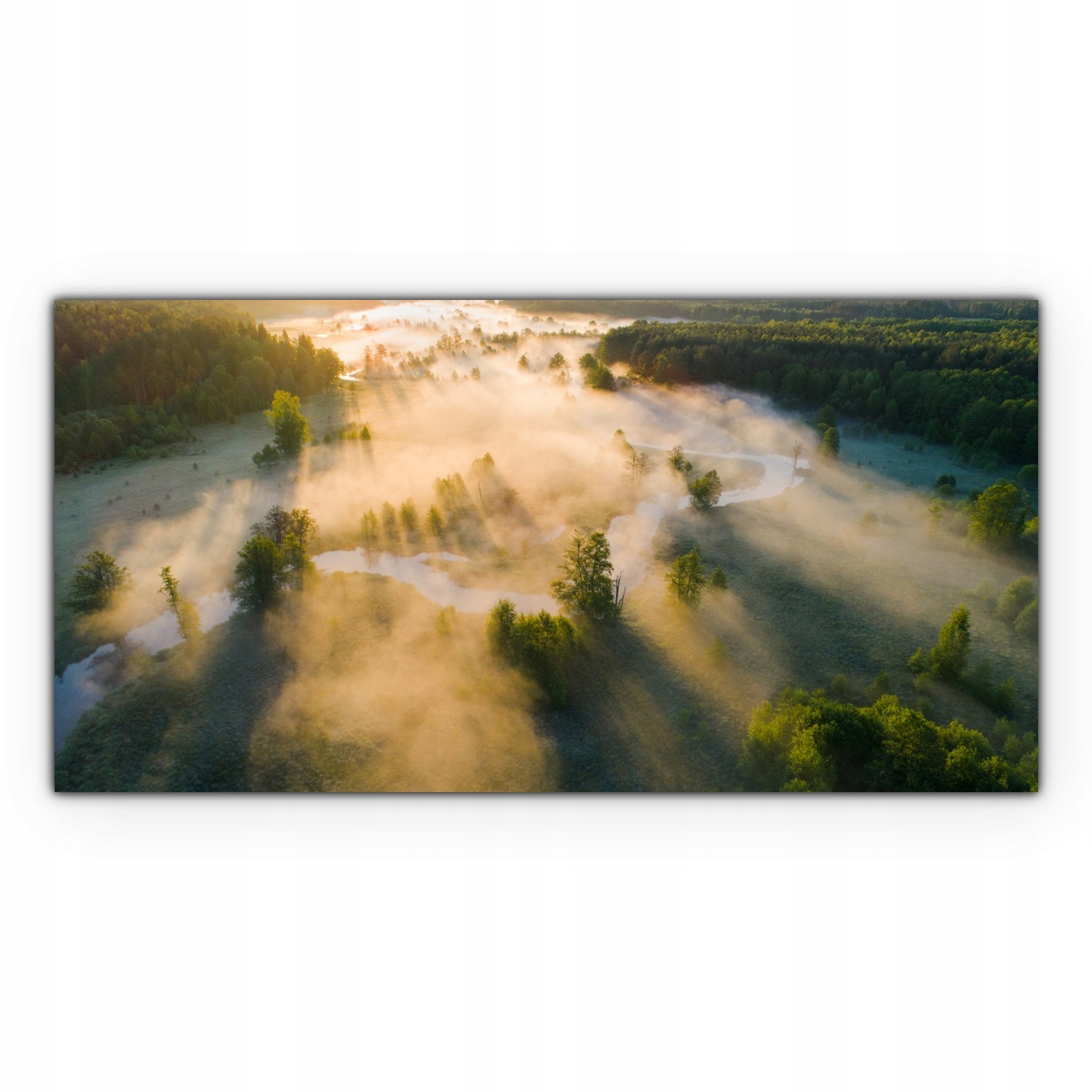 

Obraz płótno z foto 120x60 Mgła Las Wschód Słońca