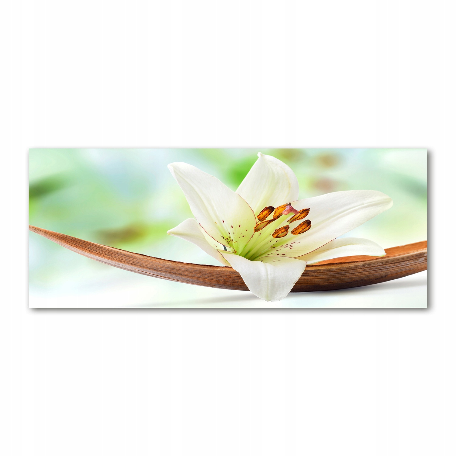 

Foto obraz akryl nowoczesny na ścianę Lilia 125x50