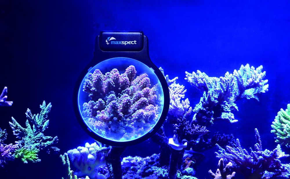 Maxspect Pastel Reef Magnifier M Lupa + LED Skład zestawu inne