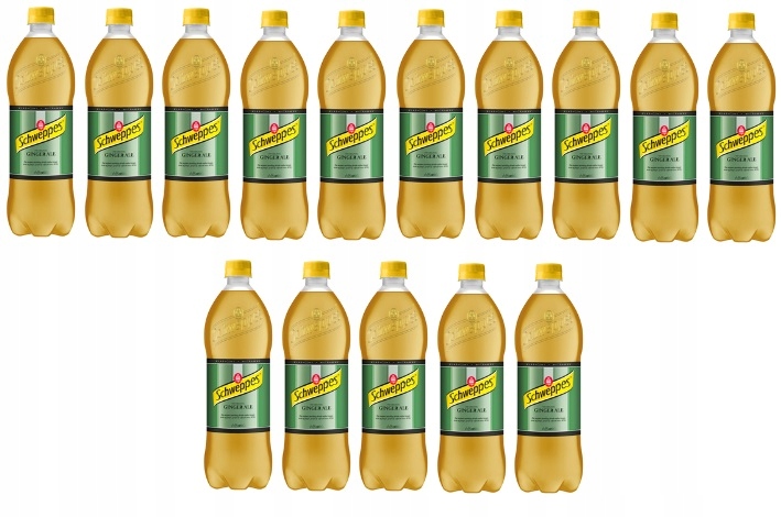 15x 850ml Schweppes Ginger Ale napój Zgrzewka
