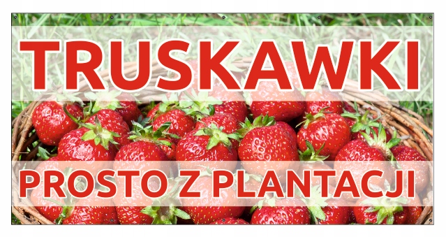 

Baner Truskawki 100x200 D Sprzedaż Truskawek