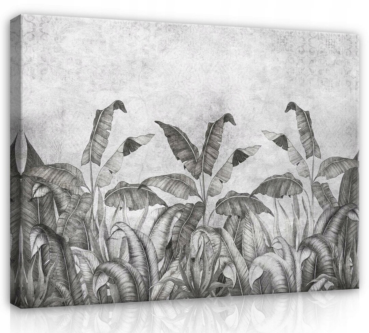 Obraz Na Plátně Canvas 120x80 Listy Rostliny Beton Zeď Imitace Příroda