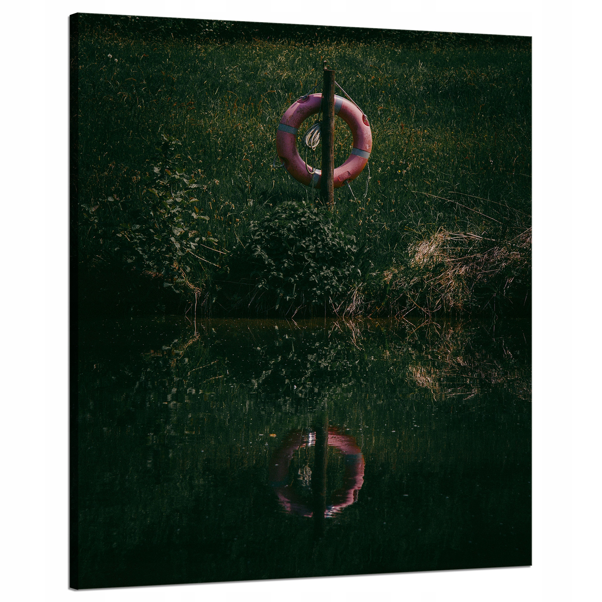 Obraz na plátně Příroda Záchranný kruh 80x100 cm