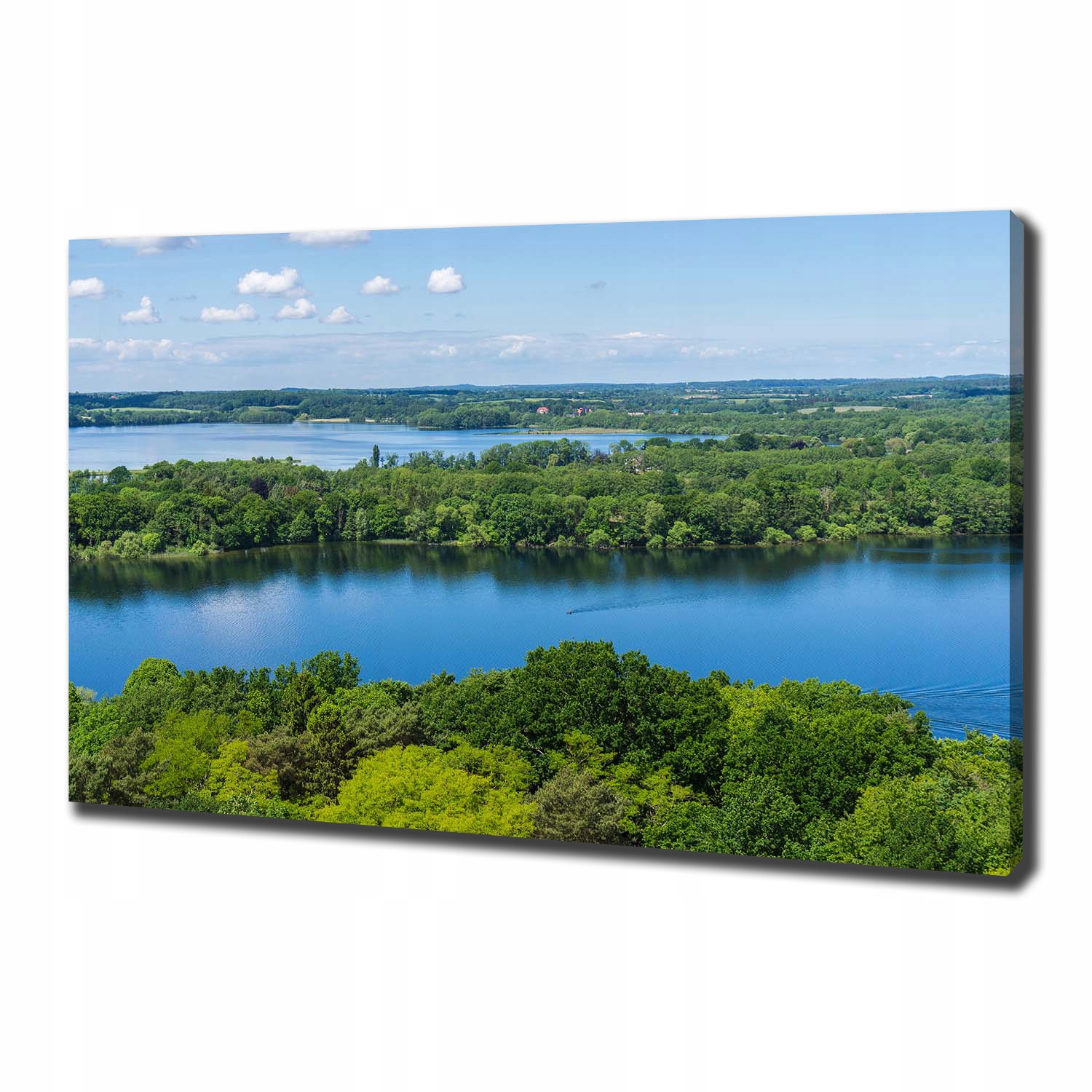 

Foto obraz na płótnie Las nad jeziorem 100x70 cm