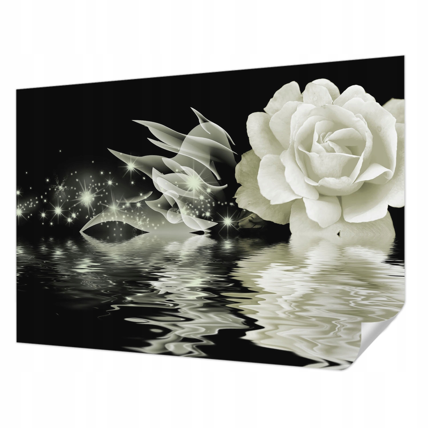 Samolepicí fototapeta Premium Snadná montáž Světlá růže 312x219 cm