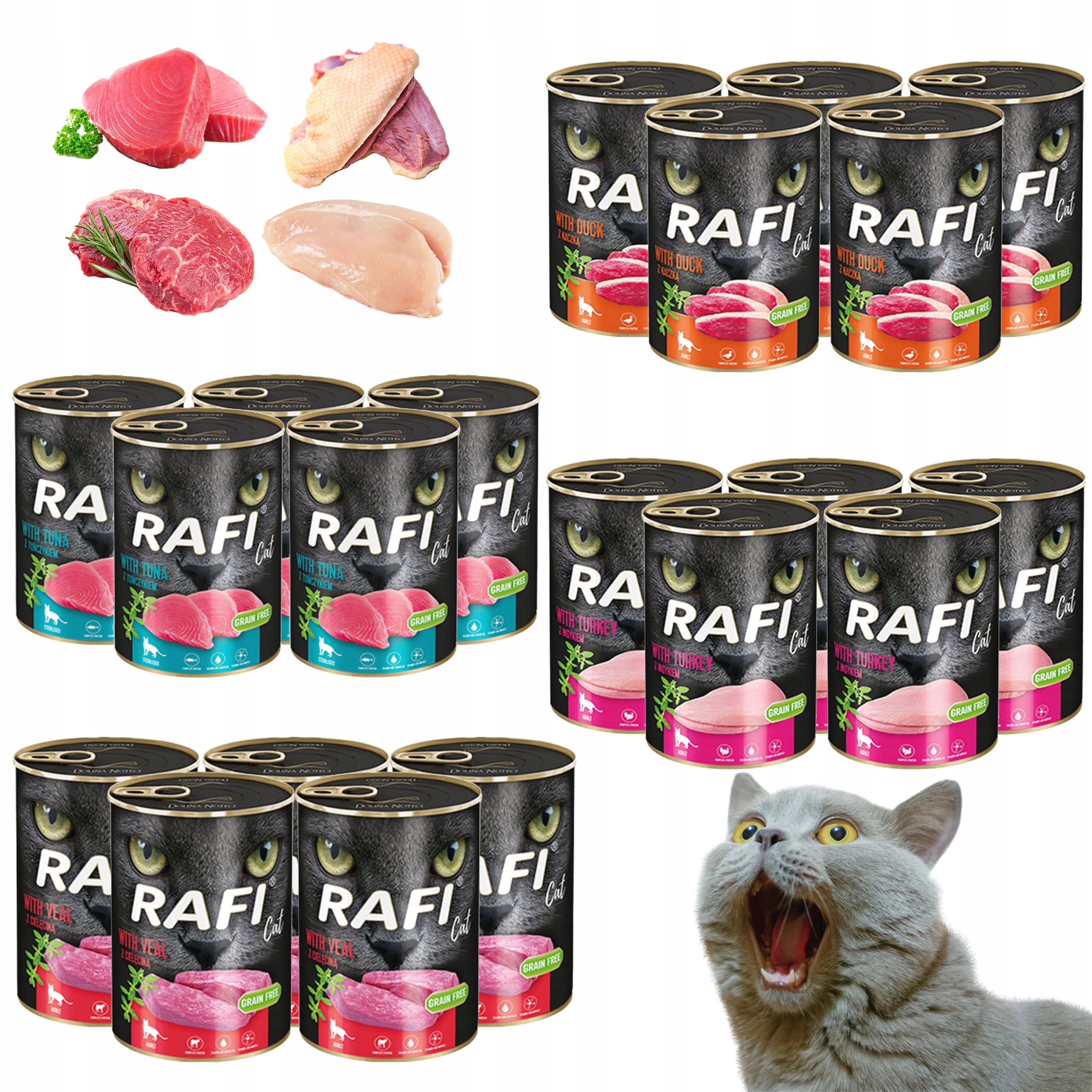 Levně Dolina Noteci Krmivo pro kočky Rafi mix chutí 20 x 400 g