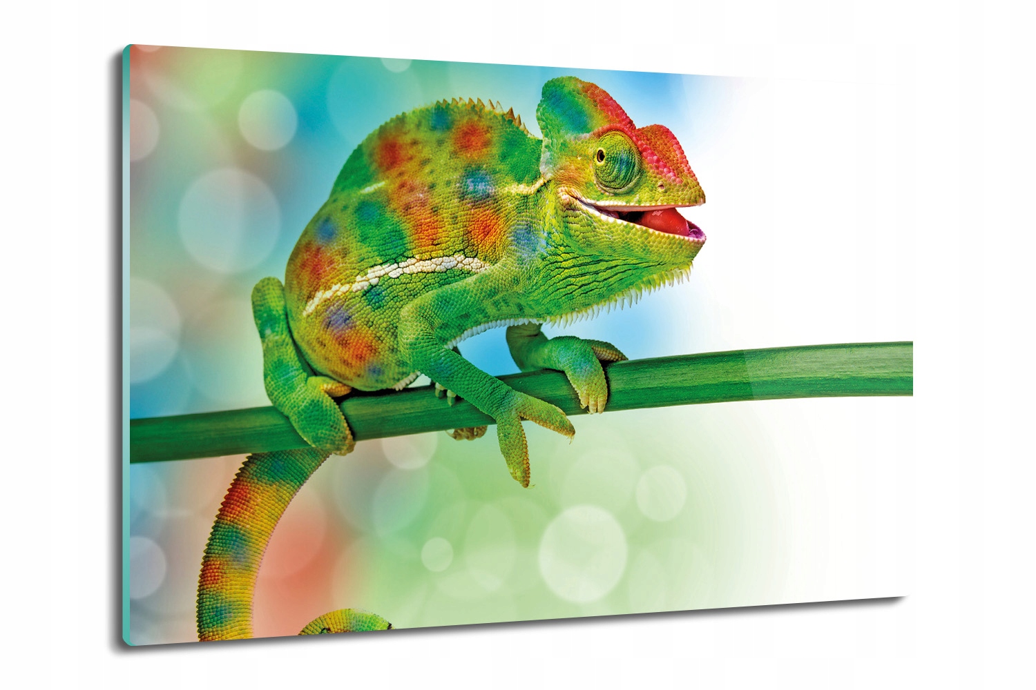 Kuchyňská deska Vál z tvrzeného skla 80x52 Chameleon plaz klacek