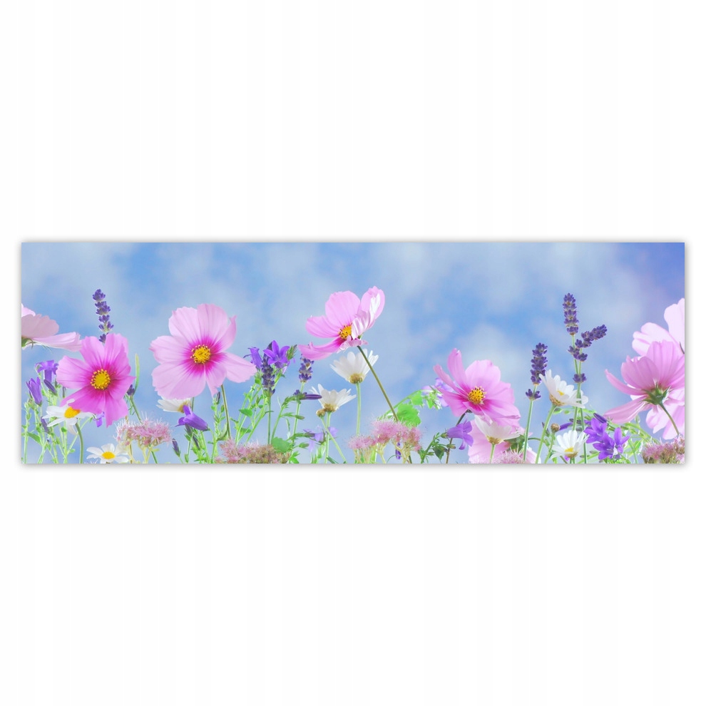 

Fototapety flizelina 312x104 Delikatne kwiatki