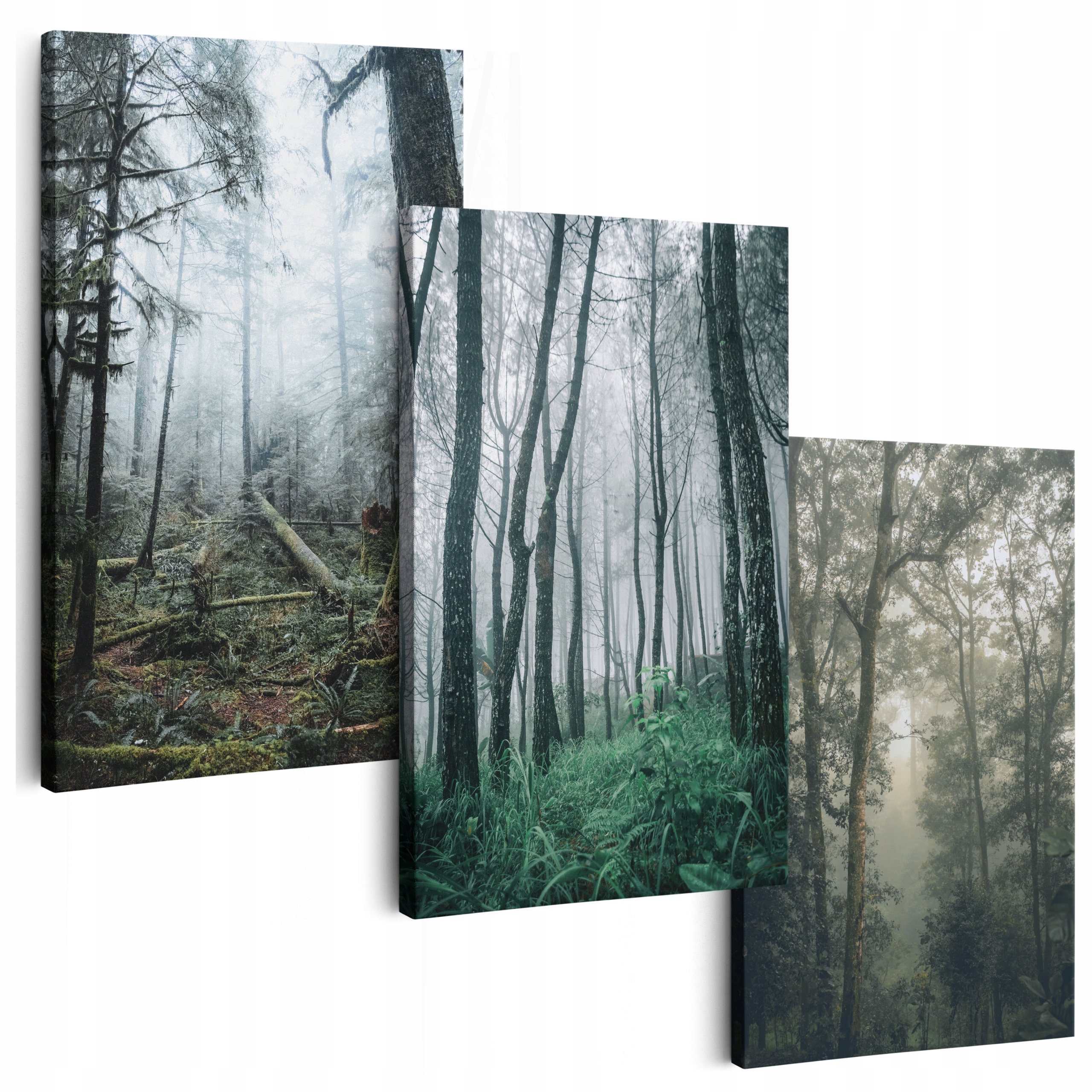 Obraz Na Plátne 150 cm *veľa vzorov* Obrazy Do Obývačky Tryptyk Hmla Stromu