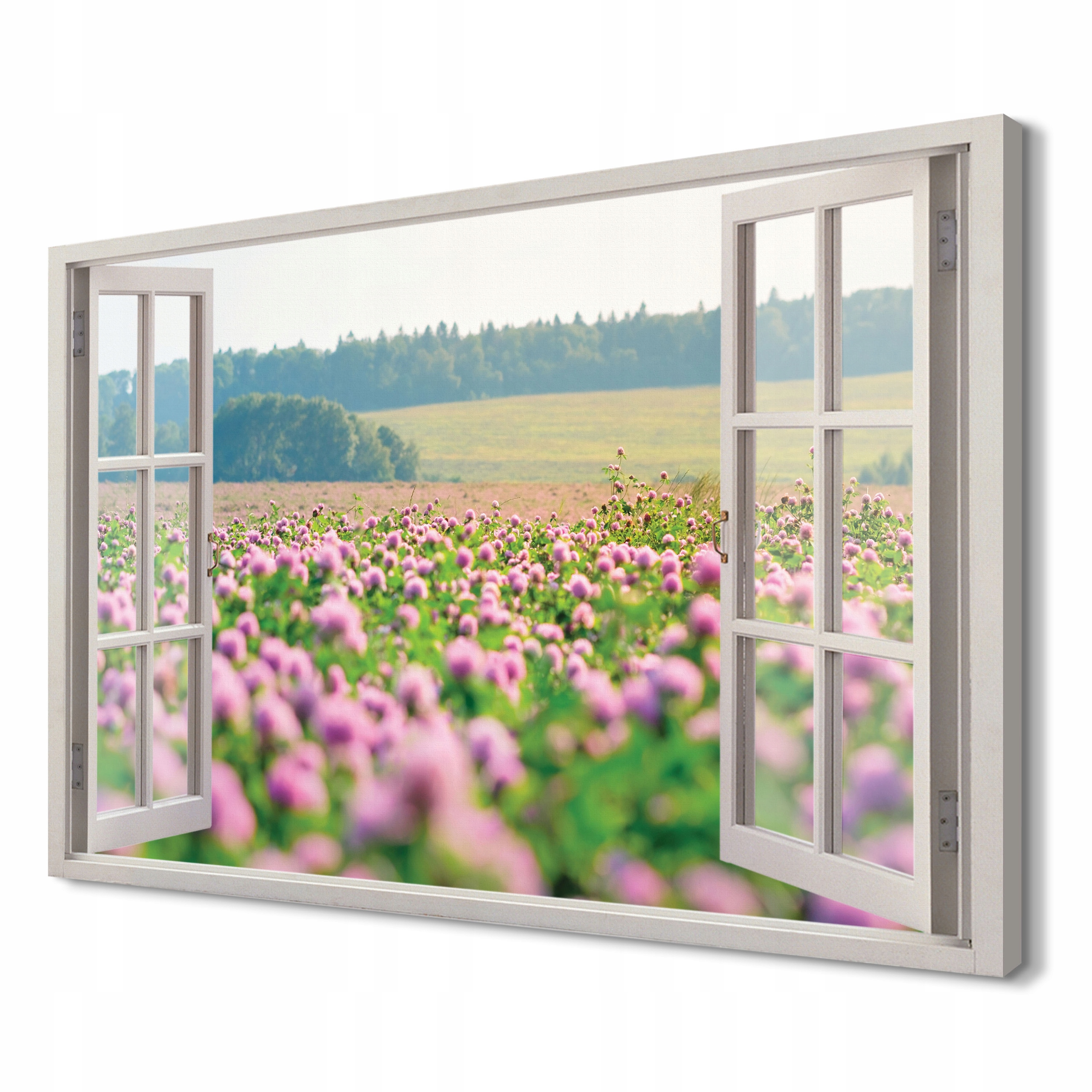 

Łąka koniczyny Obrazy drukowane na płótnie 120x80