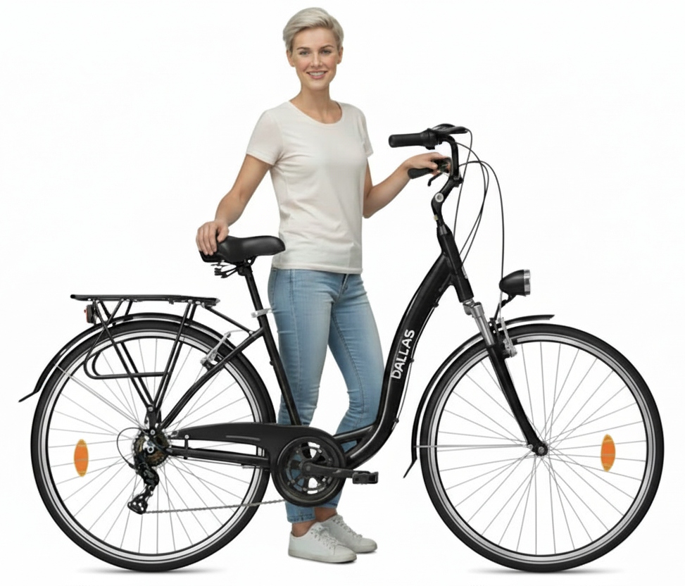 Męski Rower miejski Dallas 28 Aluminiowy biegi