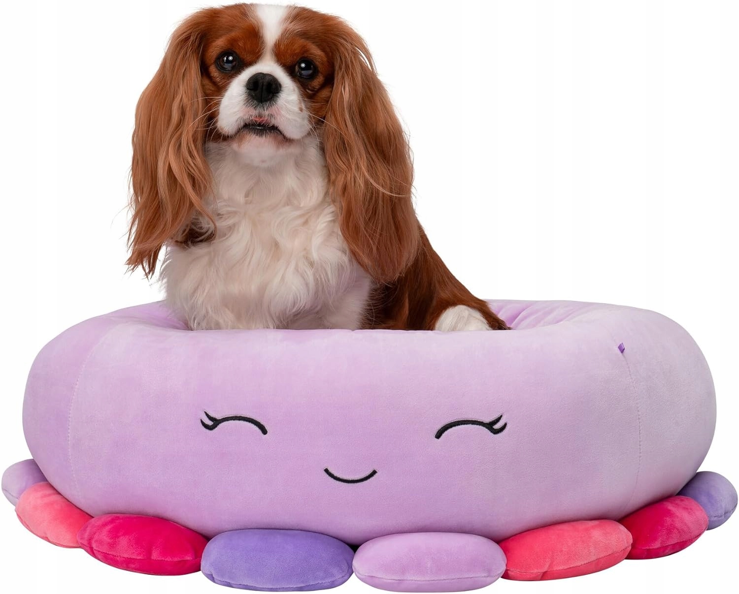 Levně pelíšek pro psa kočku polštář matrace kotec 61x61cm Squishmallows