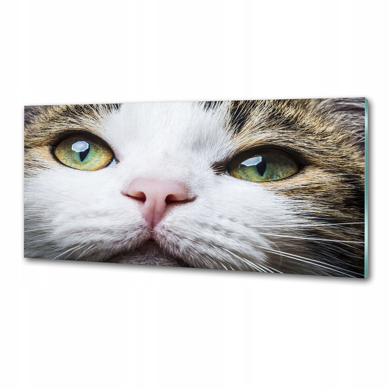Panel do kuchyně Zelené kočičí oči 125x50 Lepidlo