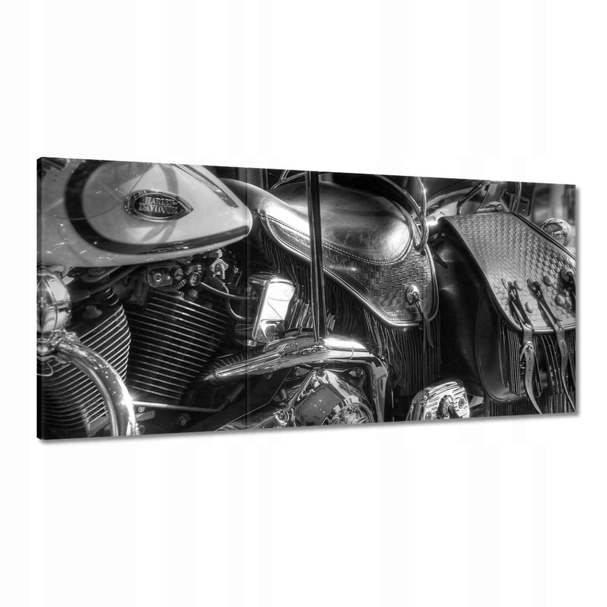 Obrazy 180x90 Harley Davidson Motocykel