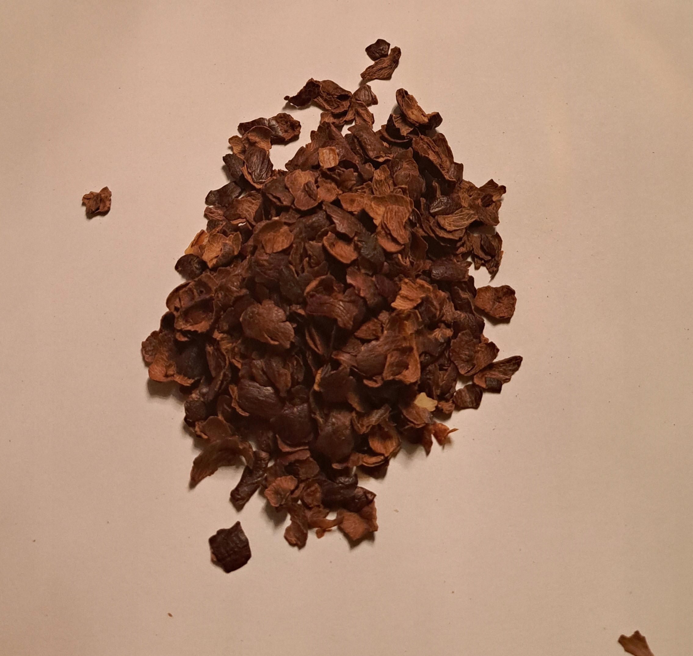 Levně Cascara Sušené slupky kávovníku 1 kg Rafex