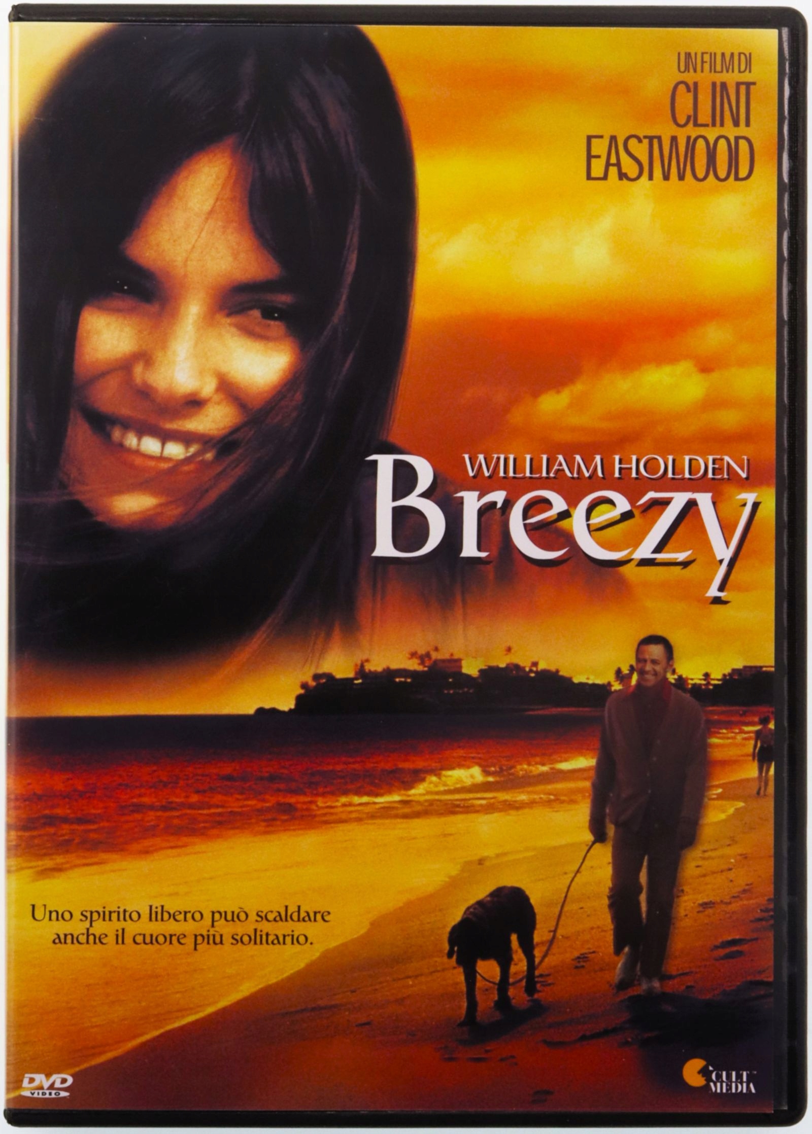 Breezy PłYTA DVD