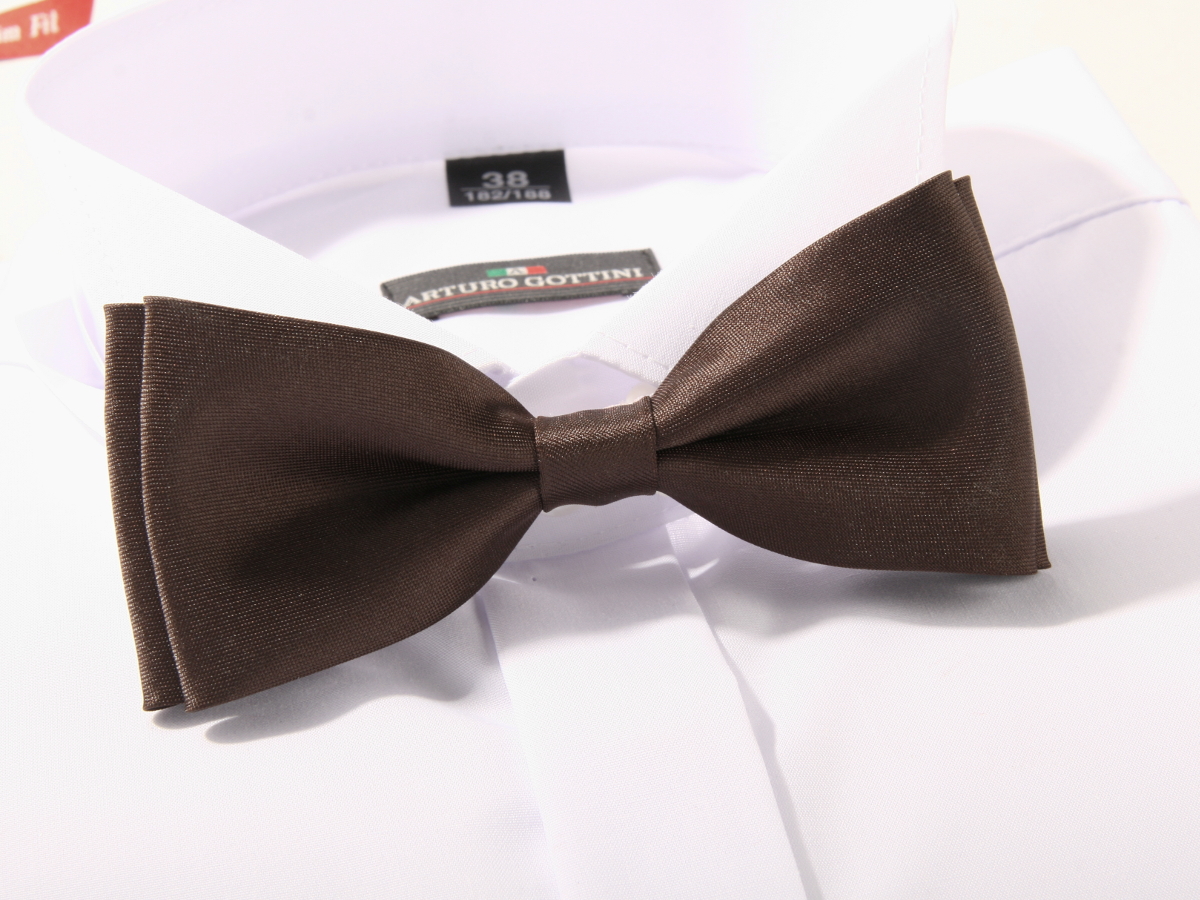 MUCHA MUSZKA MĘSKA BRĄZOWA W PUDEŁKU Marka inna