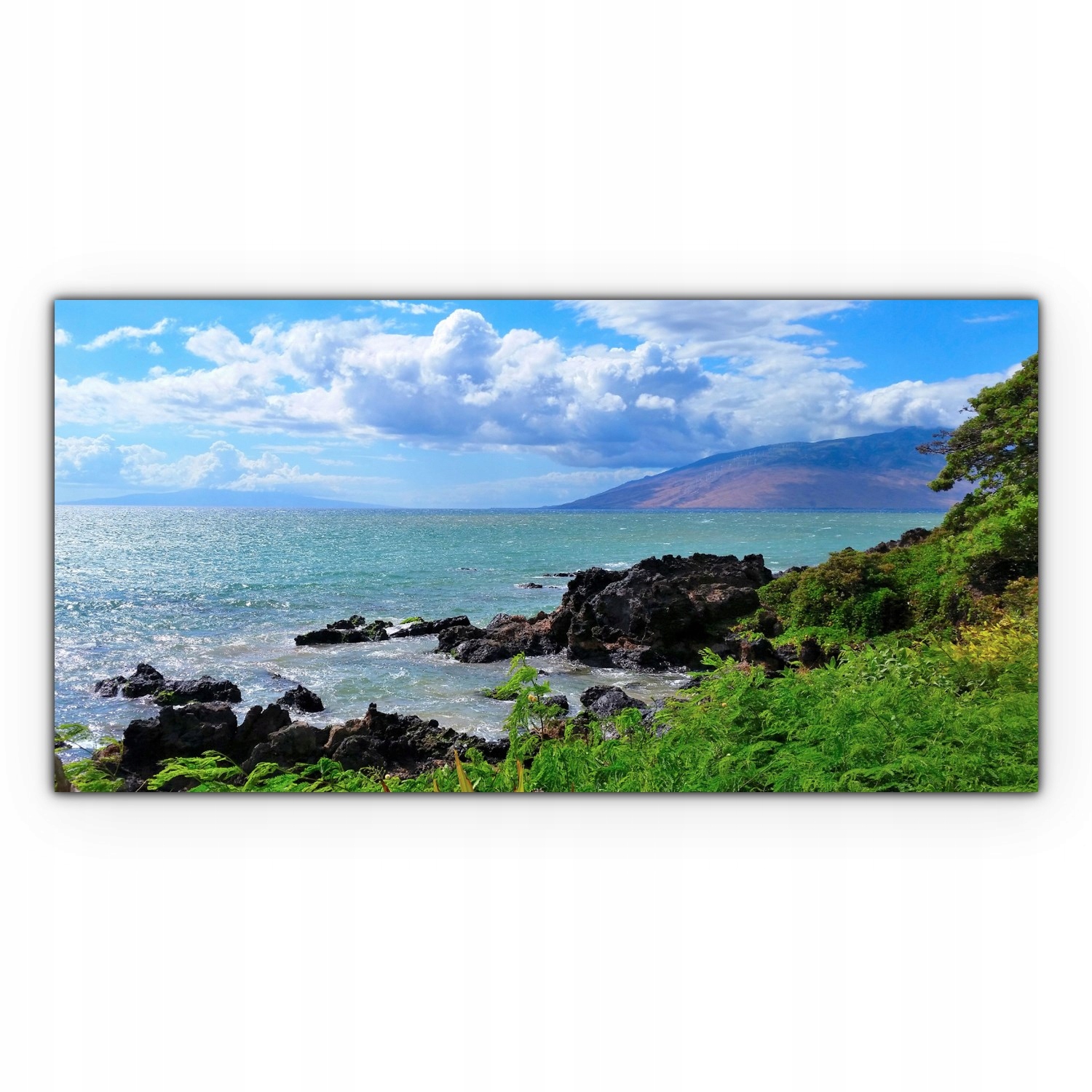 

Canvas na ramie ścienny 140x70 Ocean Wybrzeże Woda