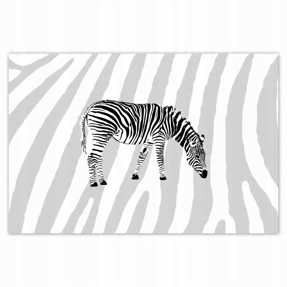 

Plakat 93x62 Zebra Paski