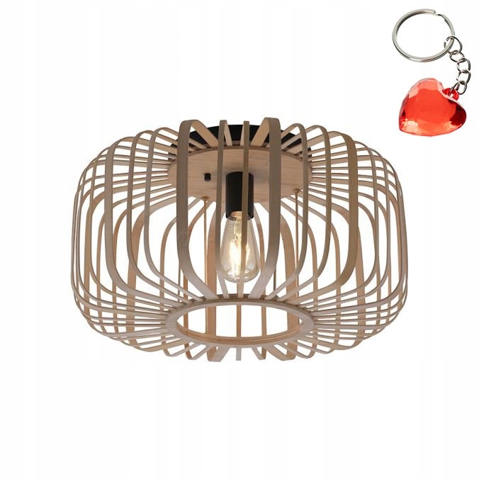 Stropná lampa Racoon 11413-79 Paul Neuhaus