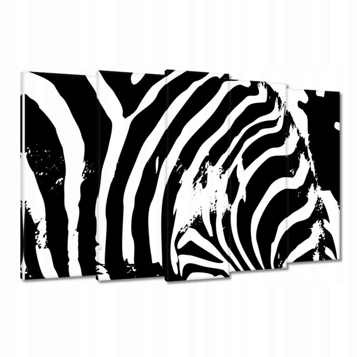 Obrazy 150x95 Zebra Pruhy Zvířátka