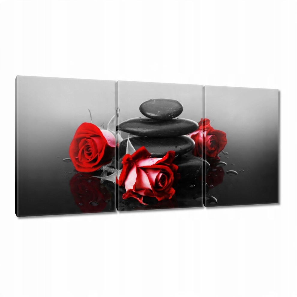 

Obrazy 120x60 Czerwone róże Spa
