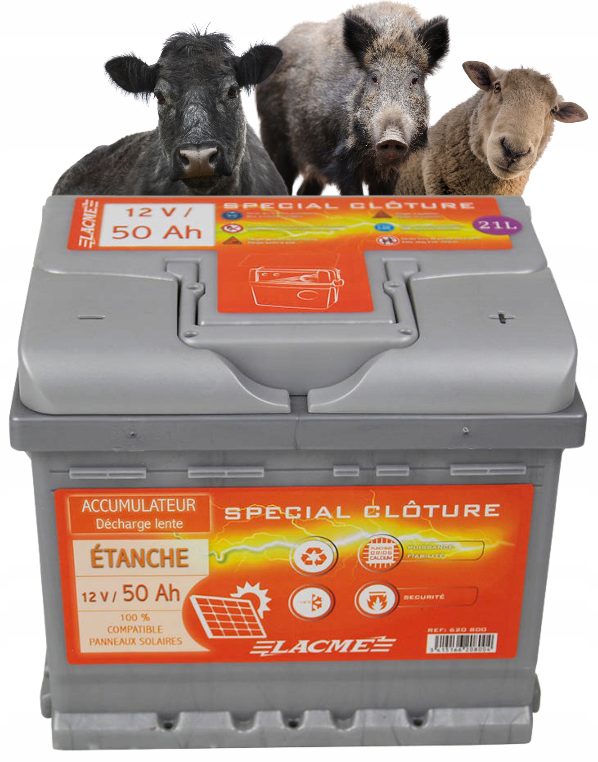 AKUMULATOR 12V 50Ah DO ELEKTRYZATORA PASTUCHA ELEKTRYCZNEGO bateria pastuch