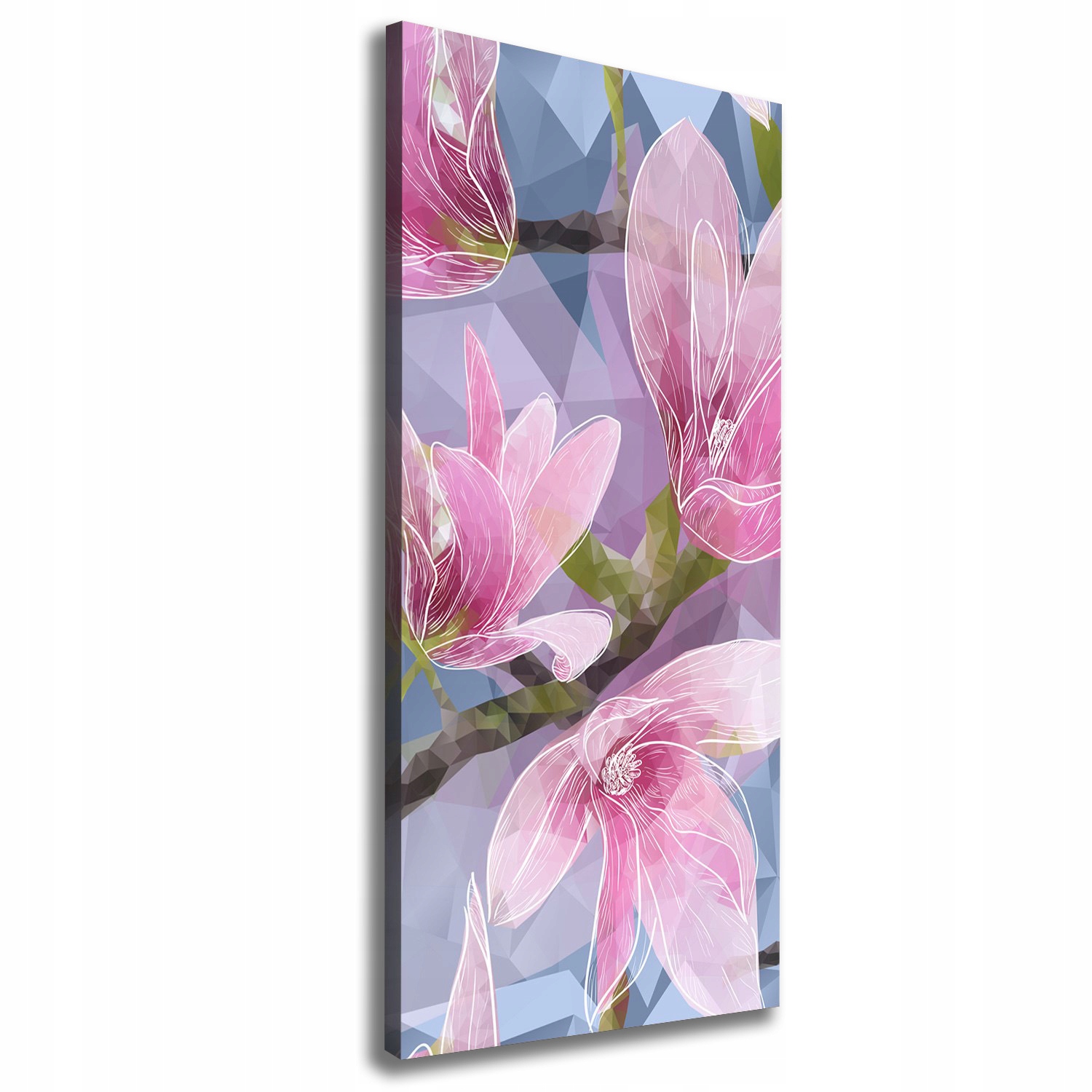 

Foto obraz na płótnie do salonu Magnolia 50x125 cm