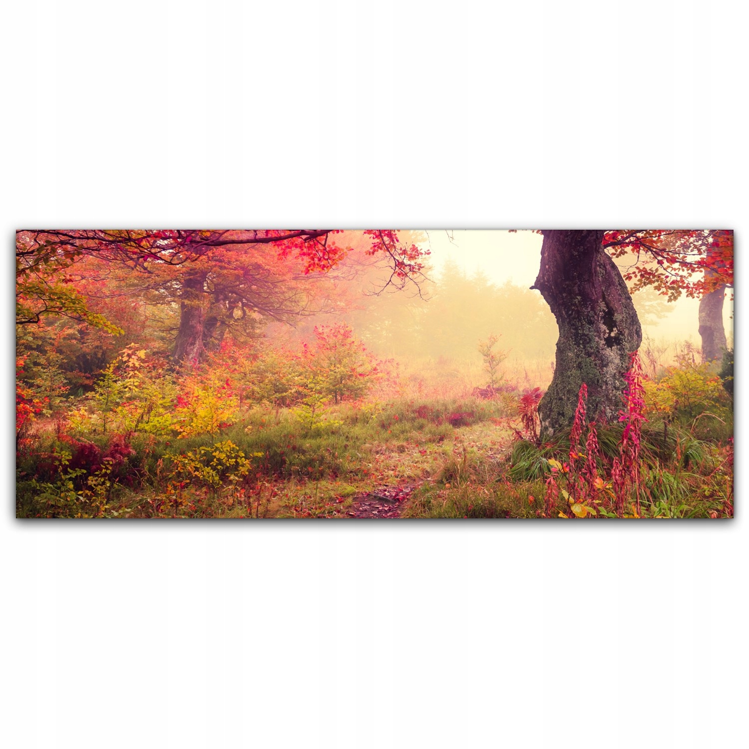 

Canvas na ramie ścienny 125x50 Jesień Las Drzewa