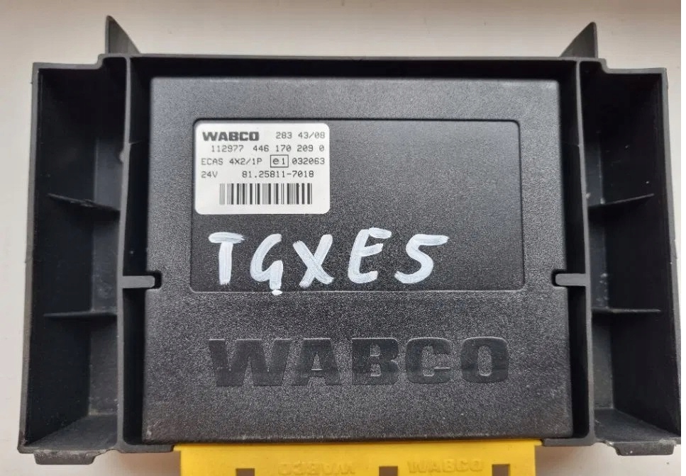 Драйвер компьютер ECAS MAN TGX TGS TGA TGL 7018