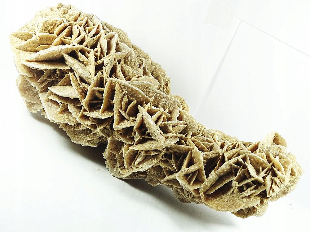 Růže Pustyni Maroko Surová 1027 g