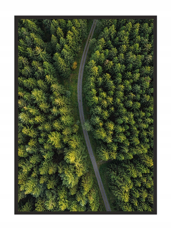 

Obraz Plakat W Ramie 43x33 cm Droga P718