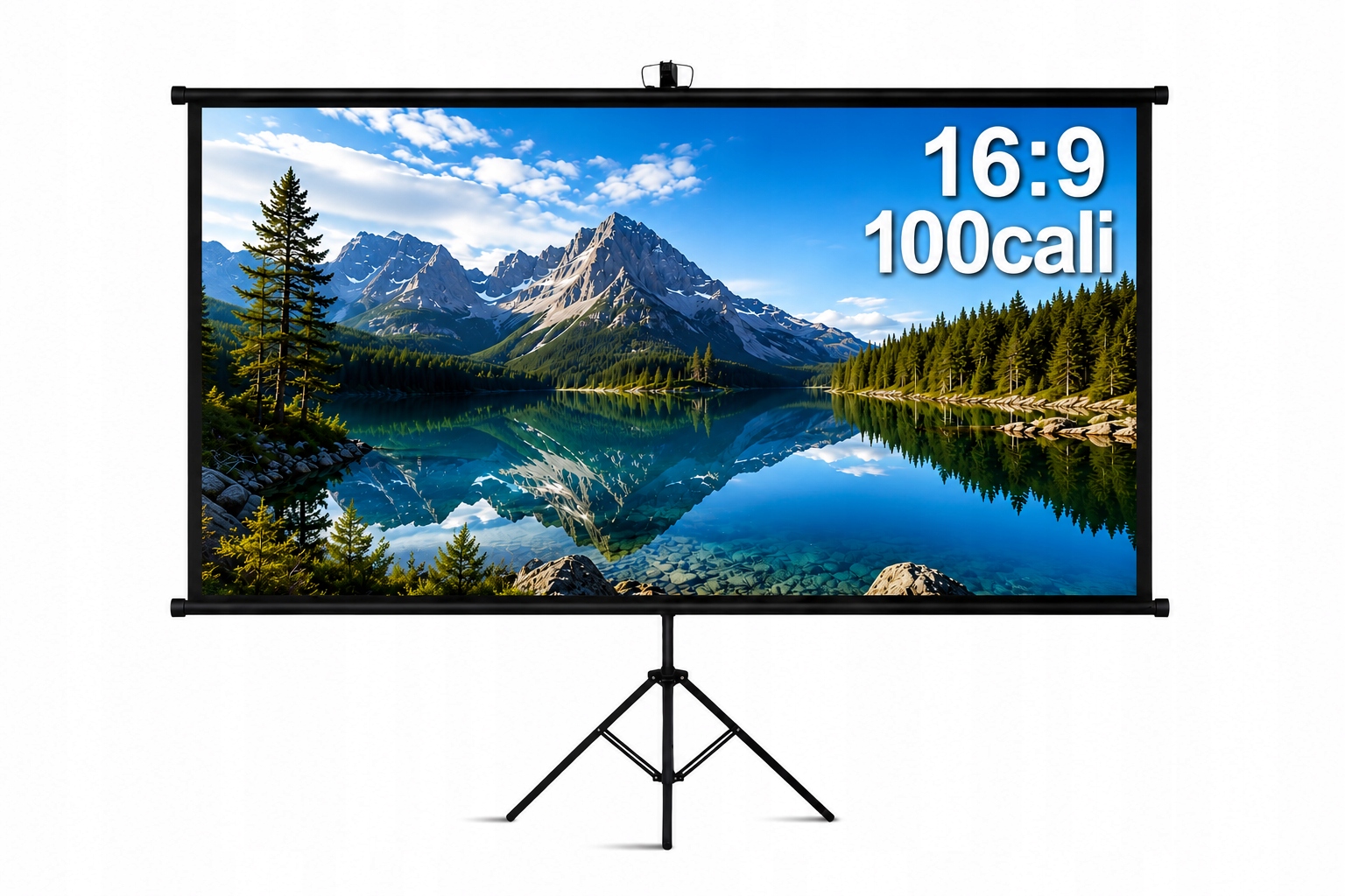 Ekran Projekcyjny na Statywie 100 cali 16:9 4K Hd Przenośny Zwijany