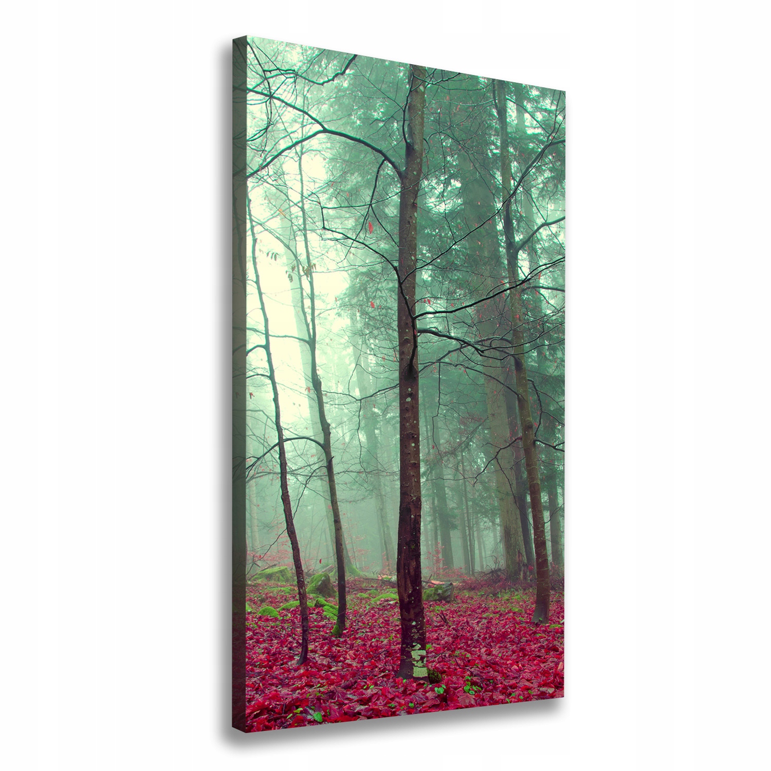 

Foto obraz canvas do salonu Las jesienią 60x120