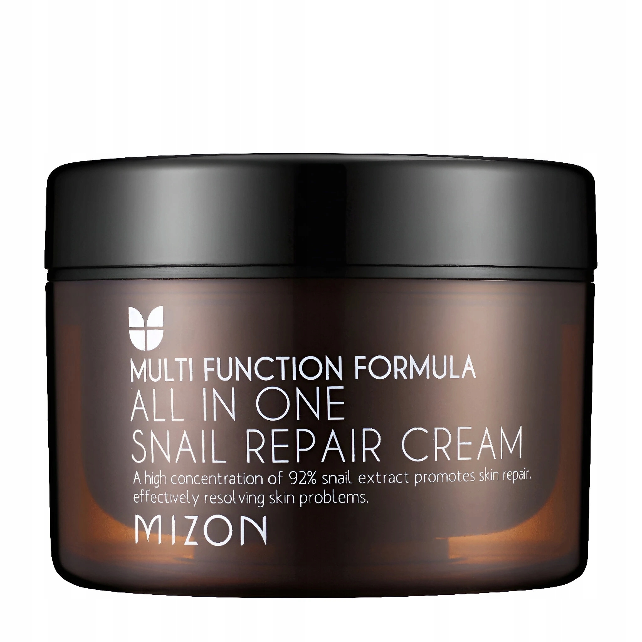 Mizon All In One Snail Repair Cream pleťový krém s extraktem Objem: 75 ml