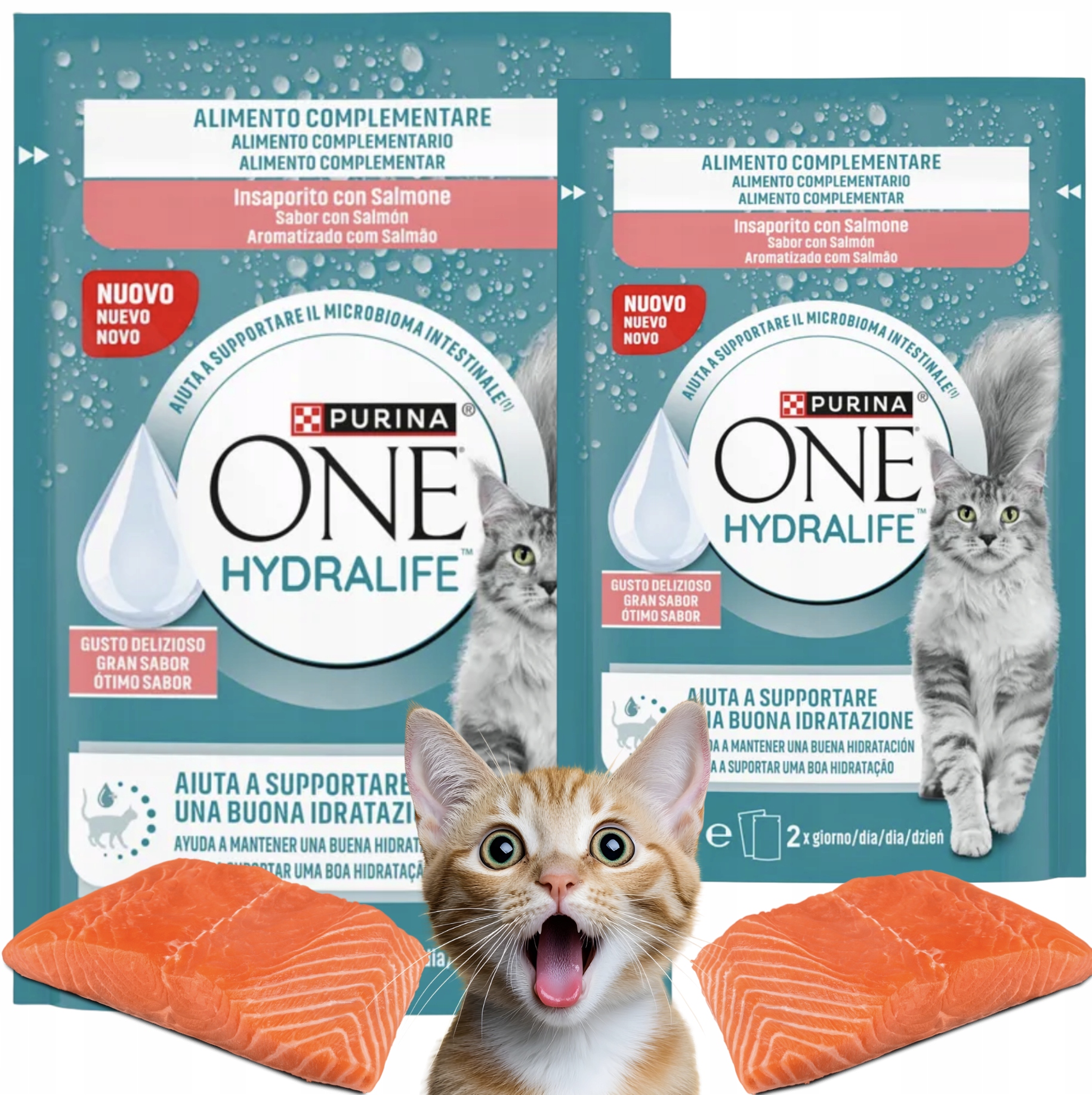 Purina One Hydralife 24x50g łosoś płynna przekąska kot zdrowe nawodnienie