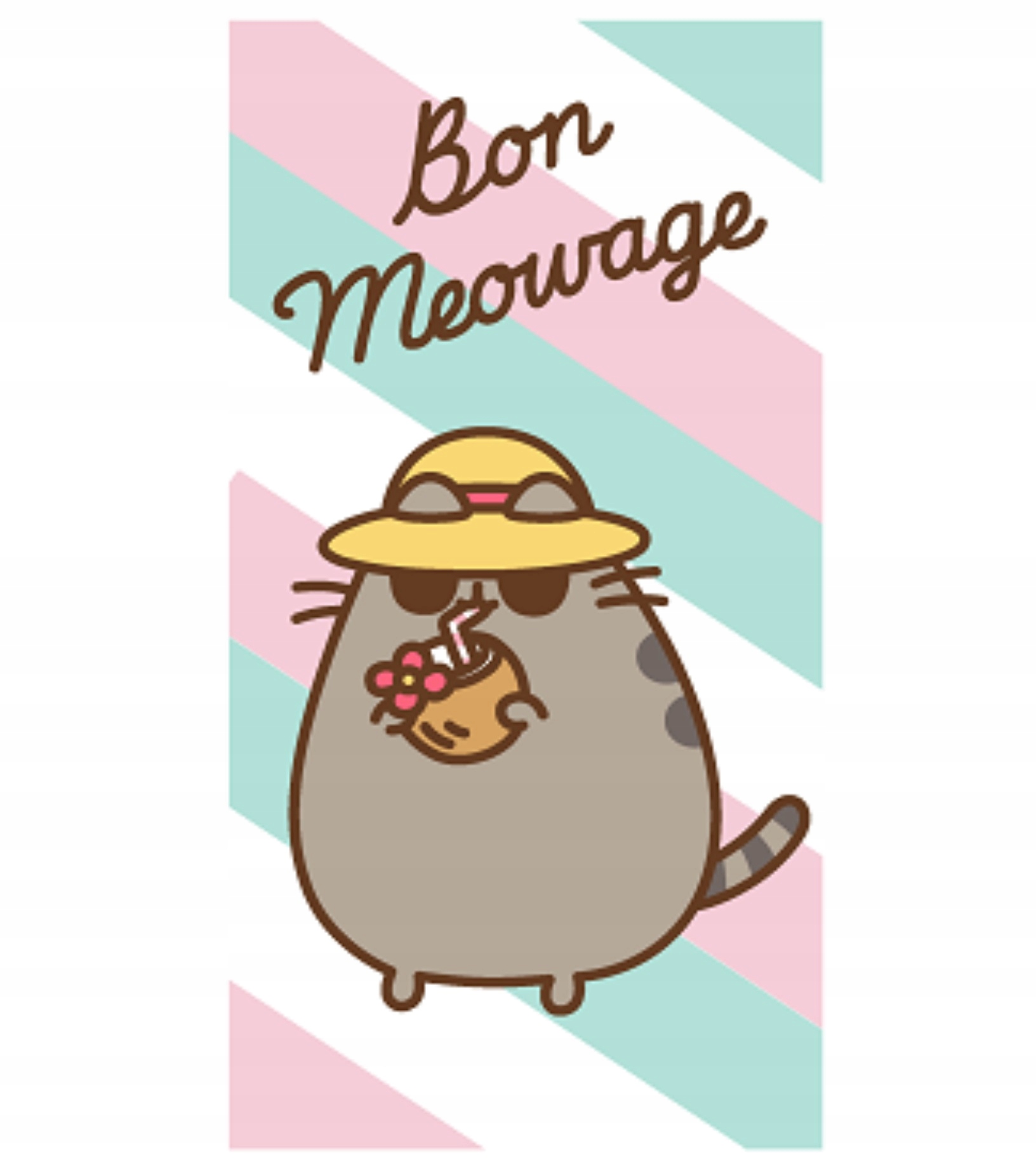 RĘCZNIK PUSHEEN 70X140 NA BASEN KĄPIELOWY PLAŻOWY SZYBKOSCHNĄCY KOT KOTEK