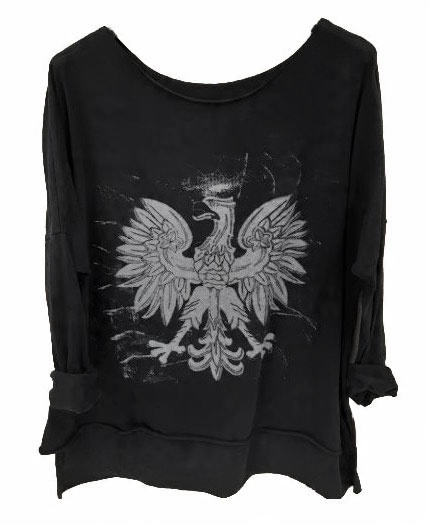 

Tu Kupisz Dekatyzowana Bluzka Z Orłem Orzeł Kolory