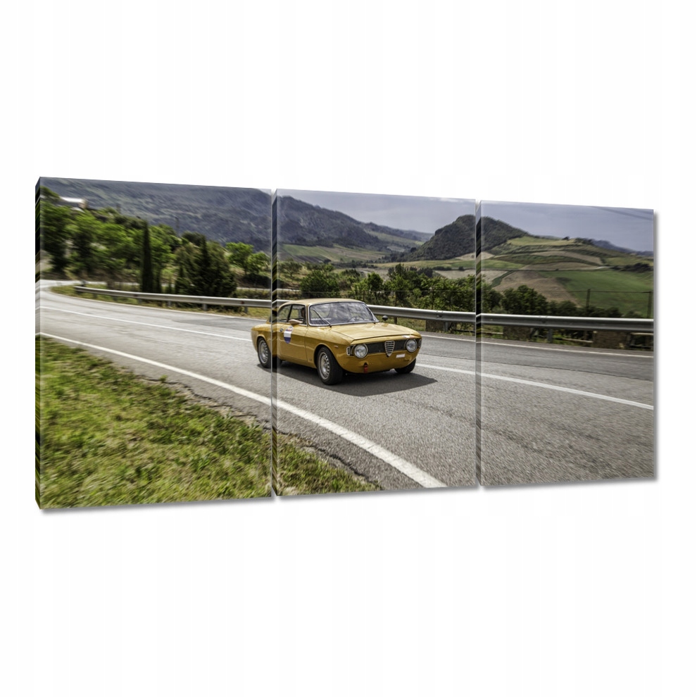 

Obrazy 120x60 Motoryzacja Samochód Auta